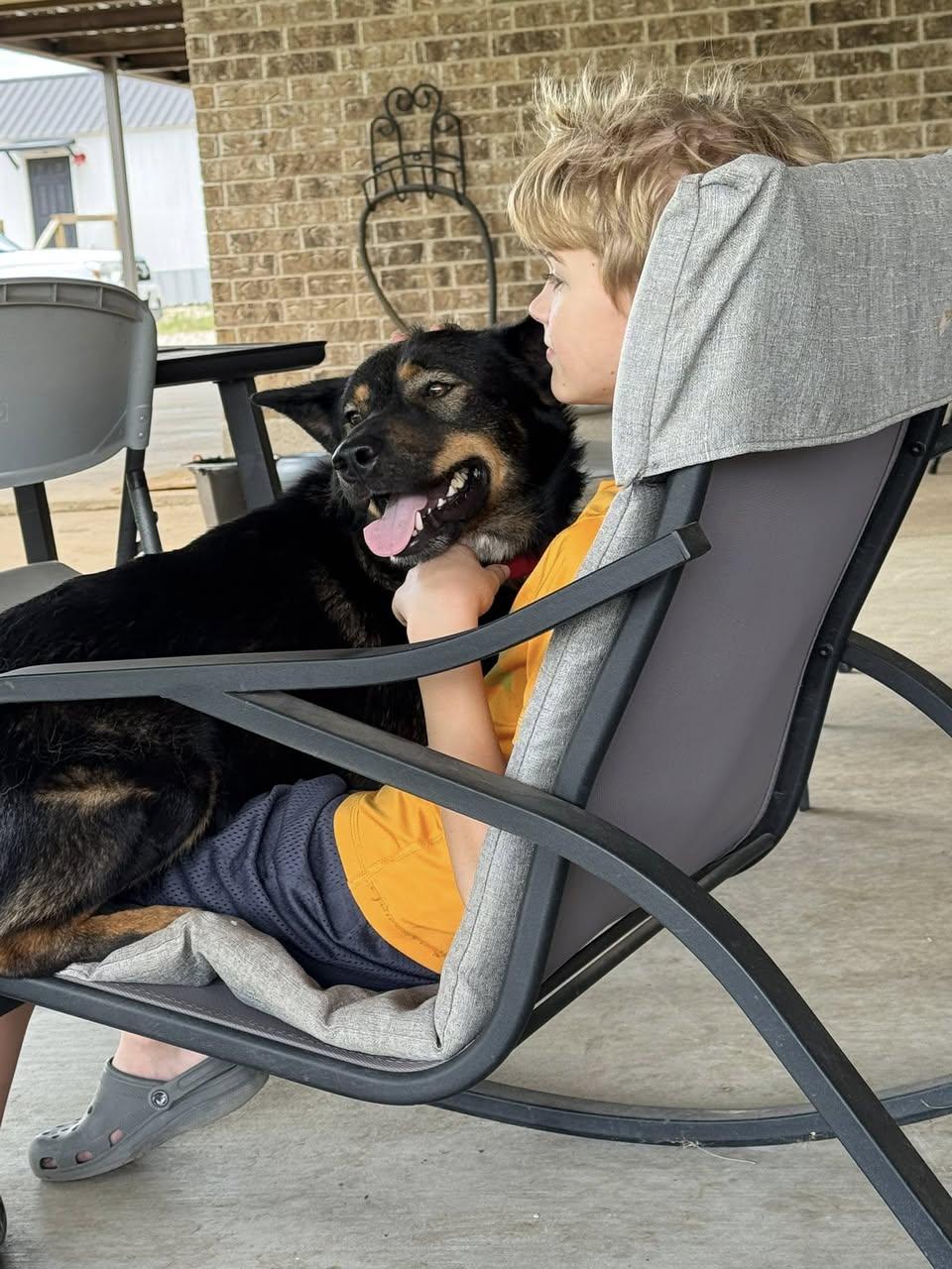 Enlarge Echo, a Adoptable mixed breed in Gatesville, TX image 4/4