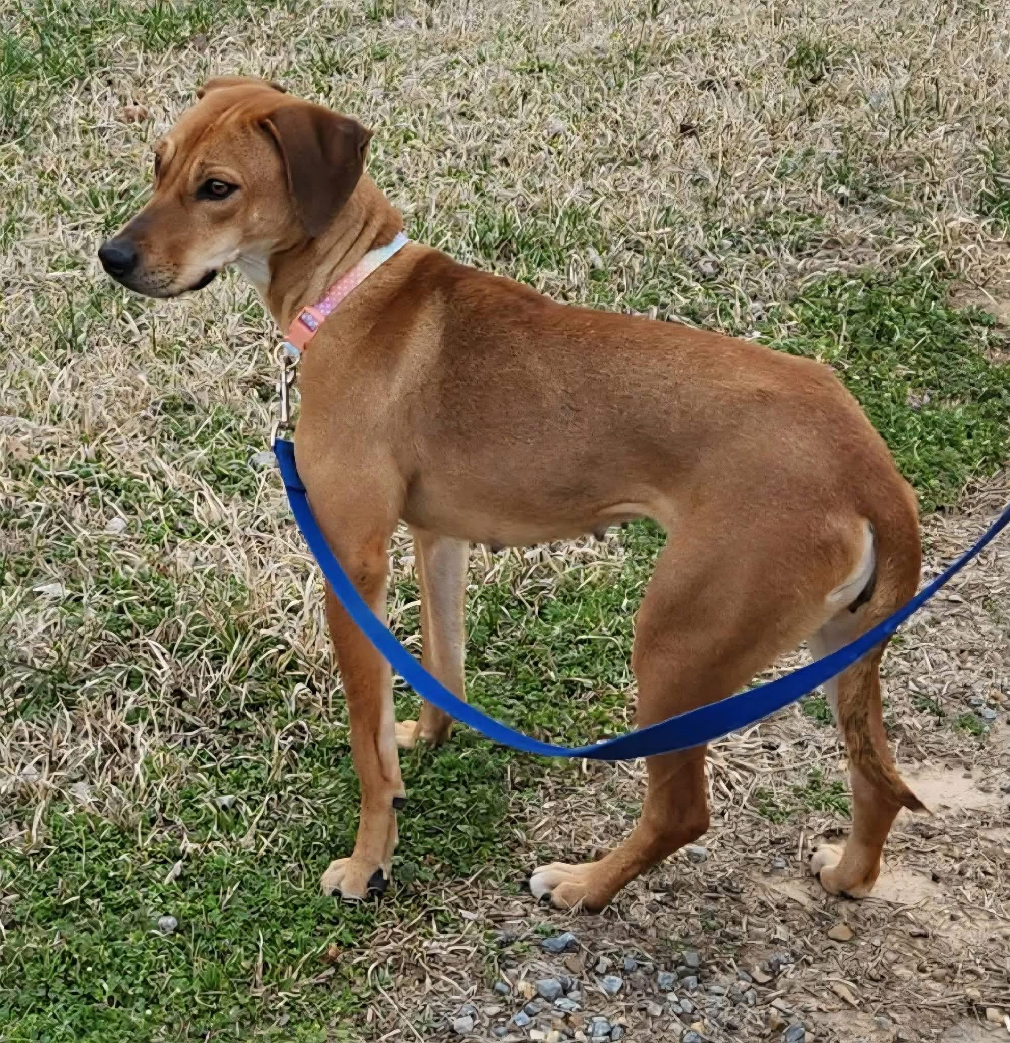 Lady — thumbnail 5