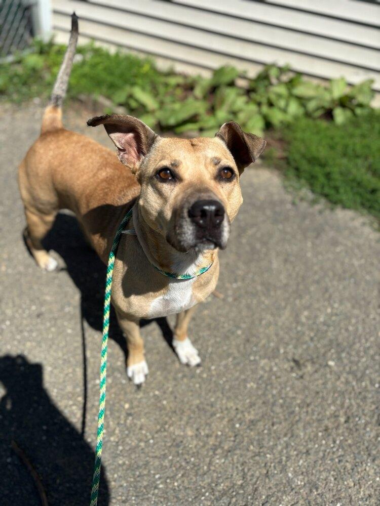 AC - Maggie Moo — thumbnail 2