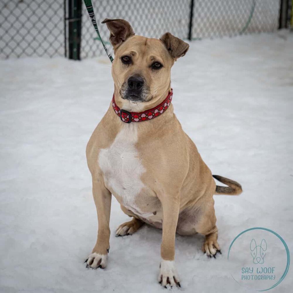 AC - Maggie Moo — thumbnail 5