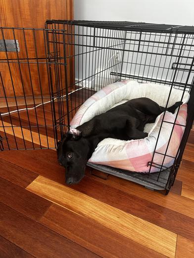 Maggie — thumbnail 6