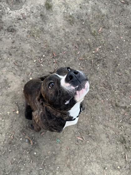 Anastasia — thumbnail 4