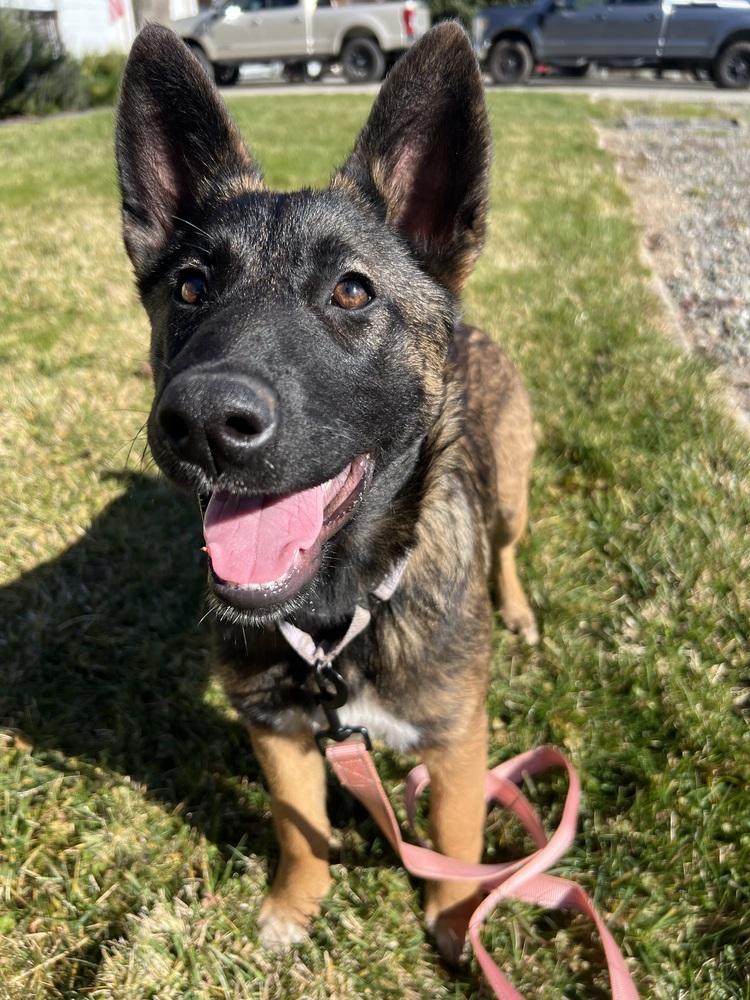 Jerri Located In Ca thumbnail 4