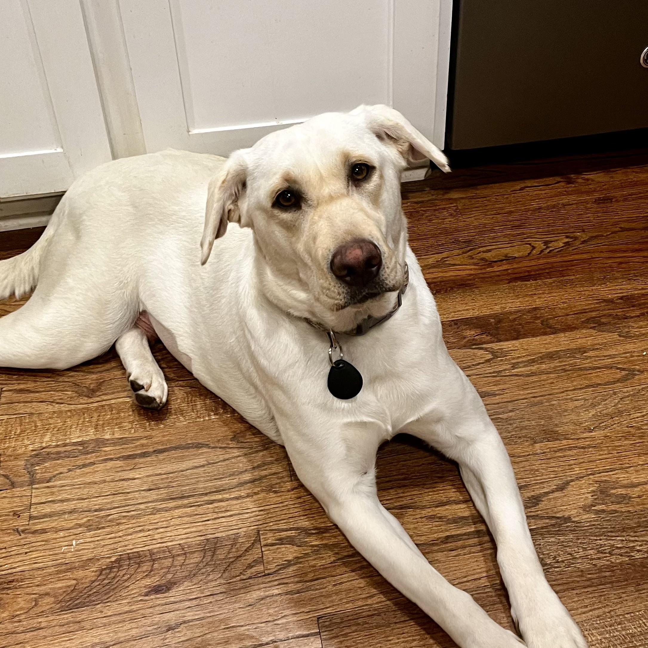 Platform — thumbnail 5