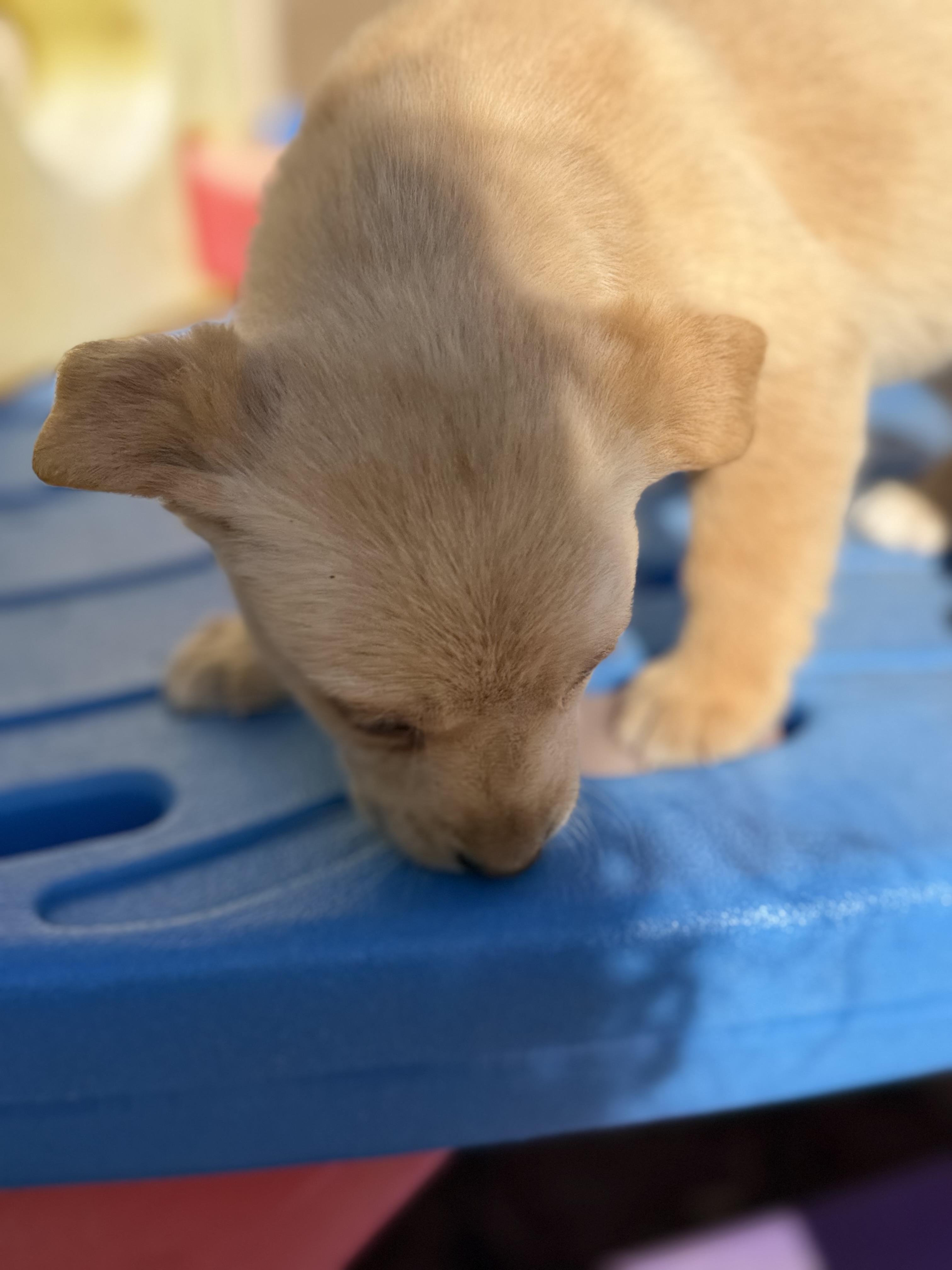 BUTTON — thumbnail 3