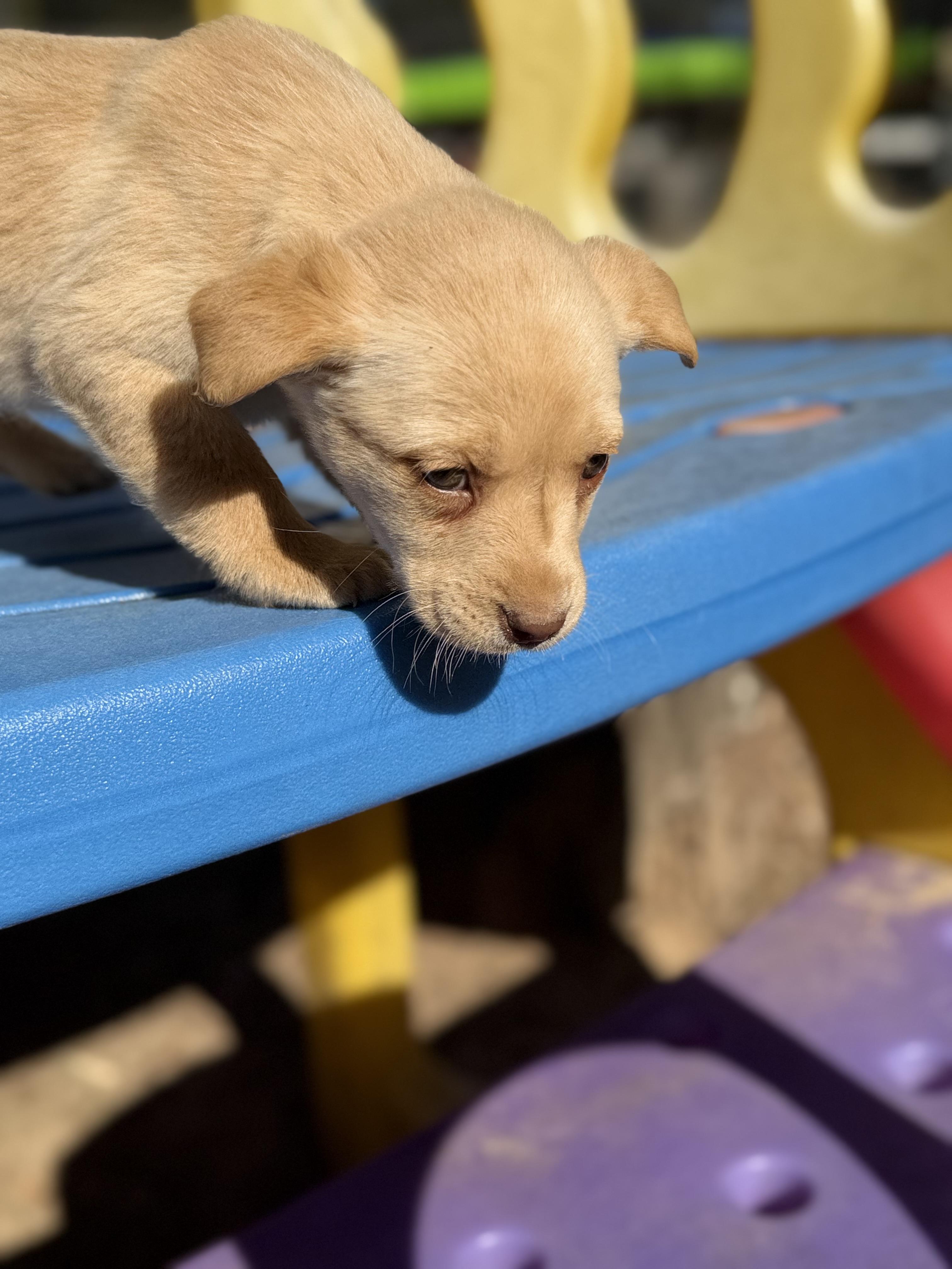 BUTTON — thumbnail 4