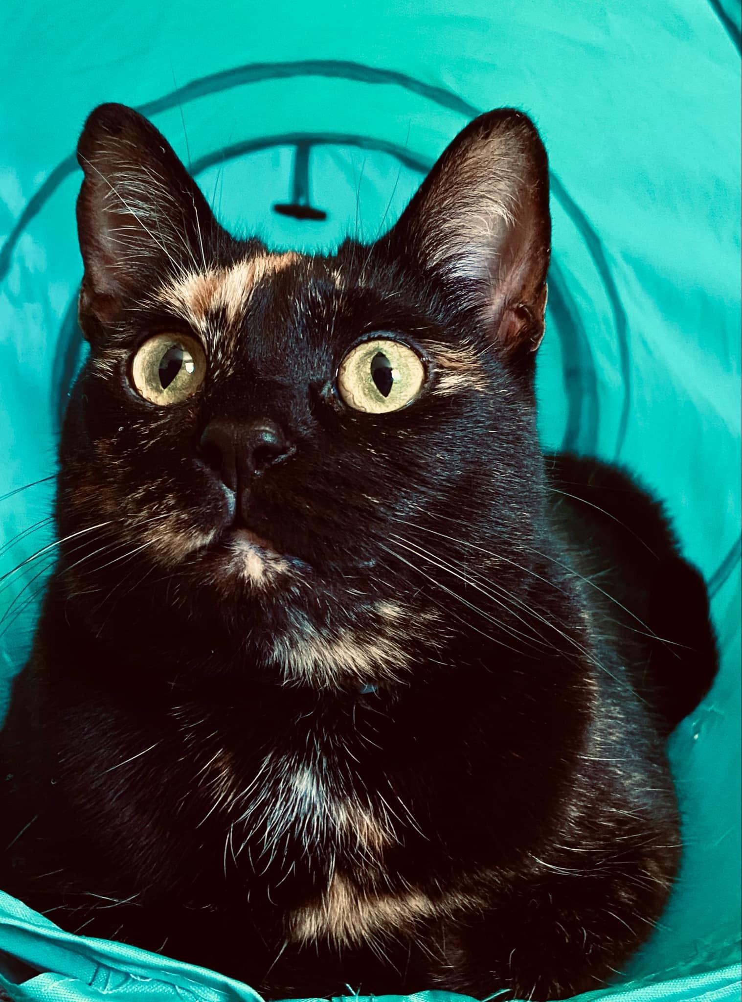 Luna
