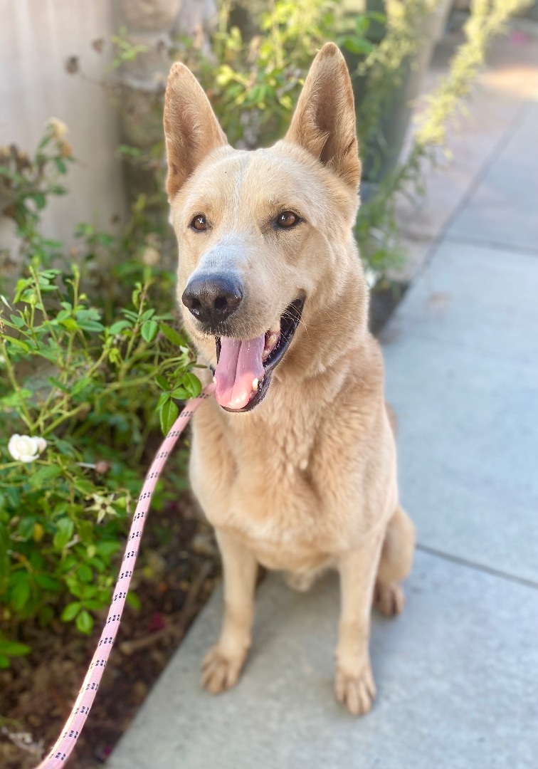 Big Boy — thumbnail 2