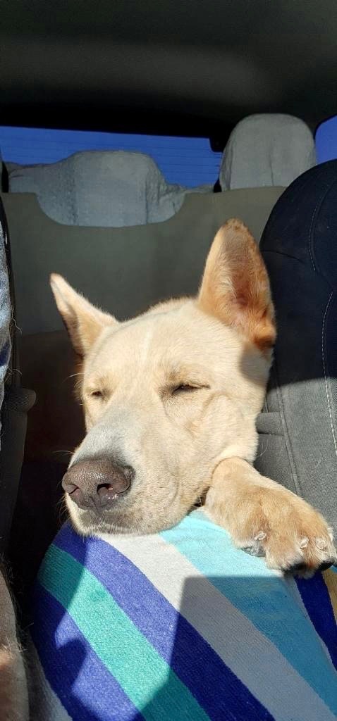 Big Boy — thumbnail 4