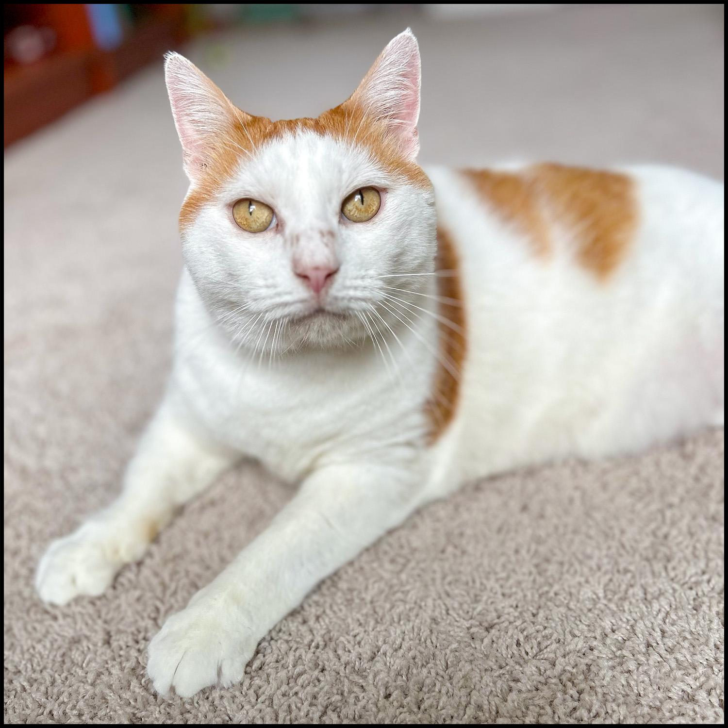 Max