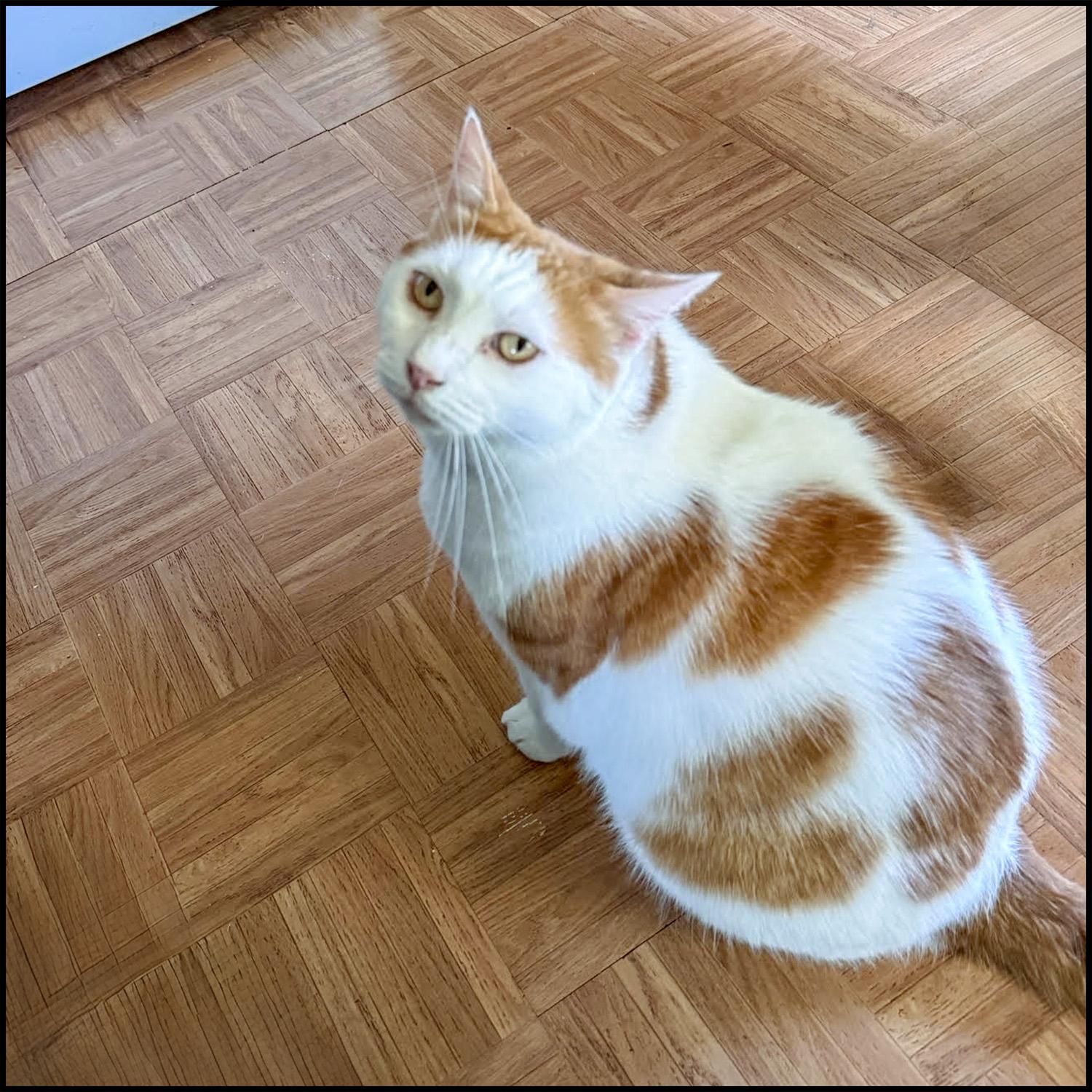Max photo 4