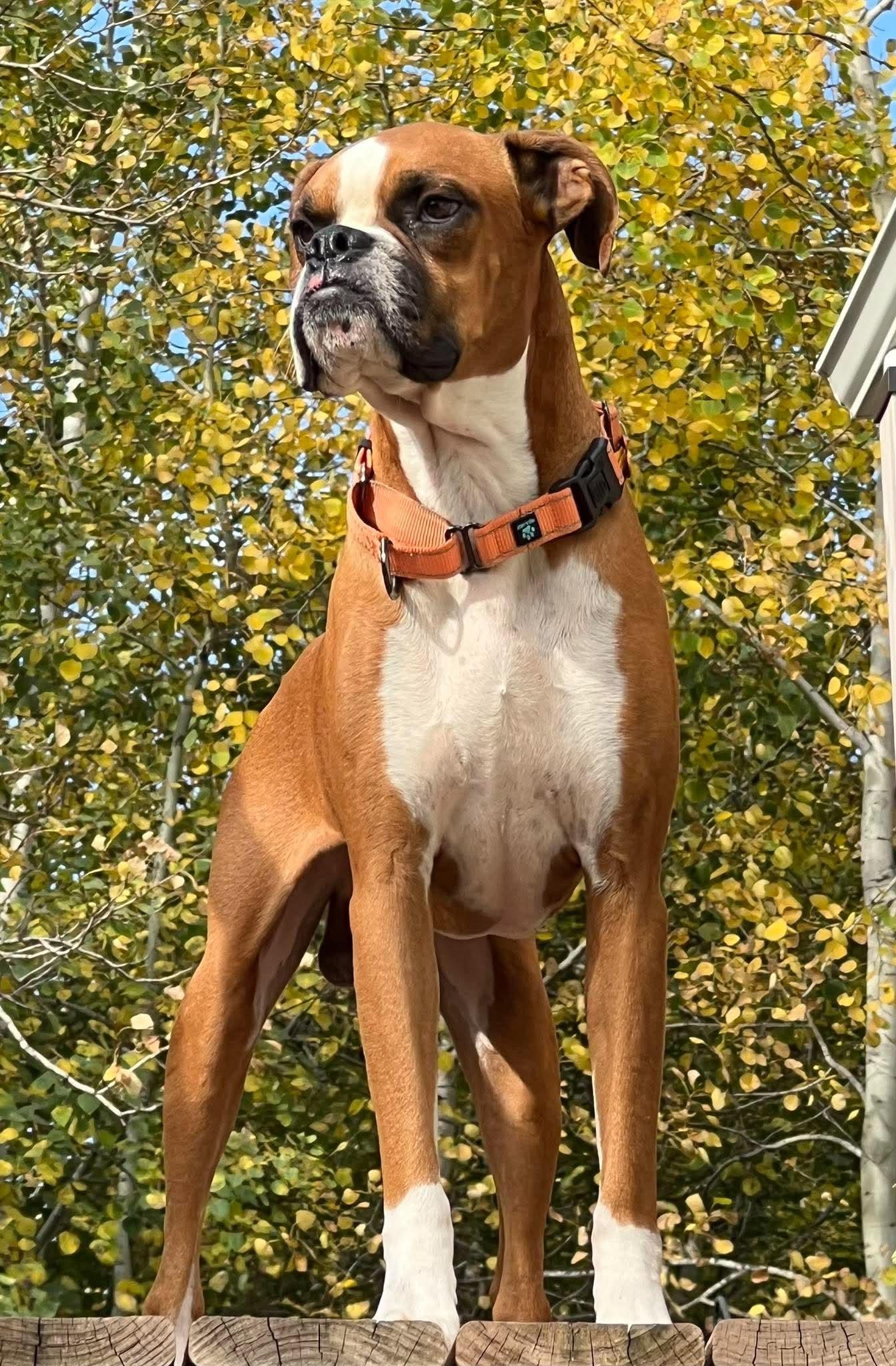 Thanos photo