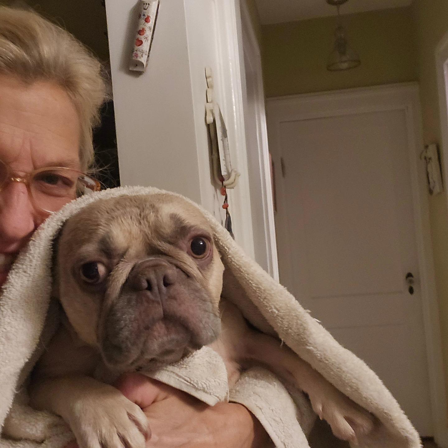 June Bug thumbnail 3