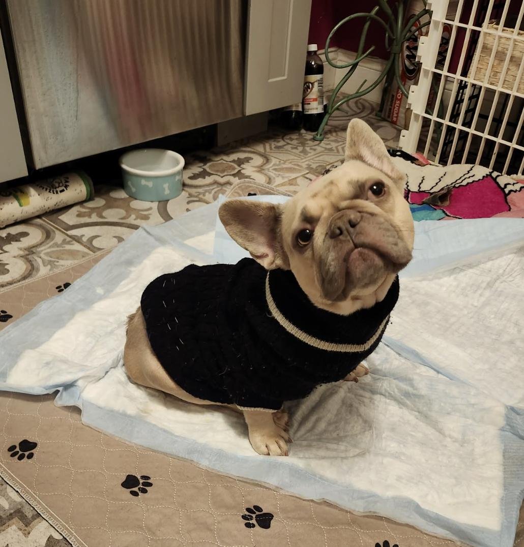 June Bug thumbnail 4