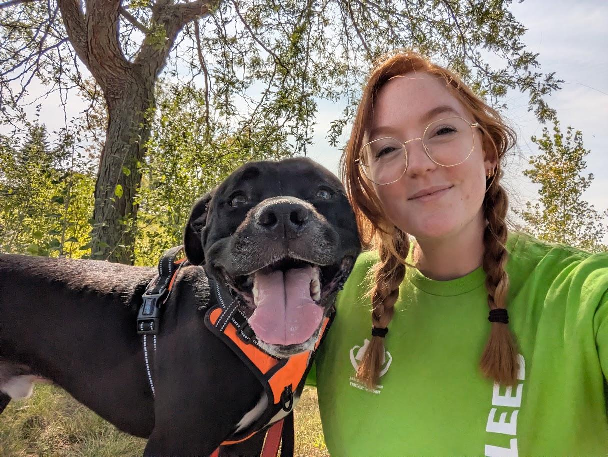 Panther, Adoptable, Young Male Mixed Breed.