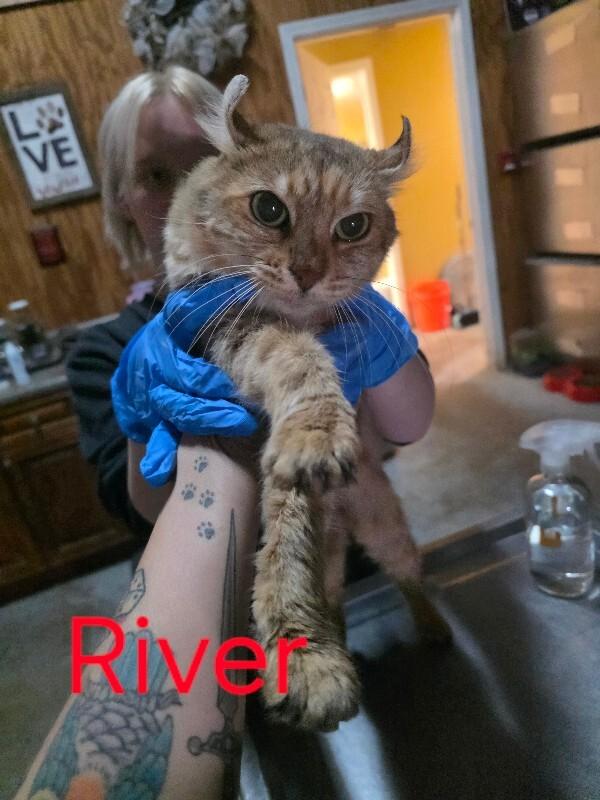 River