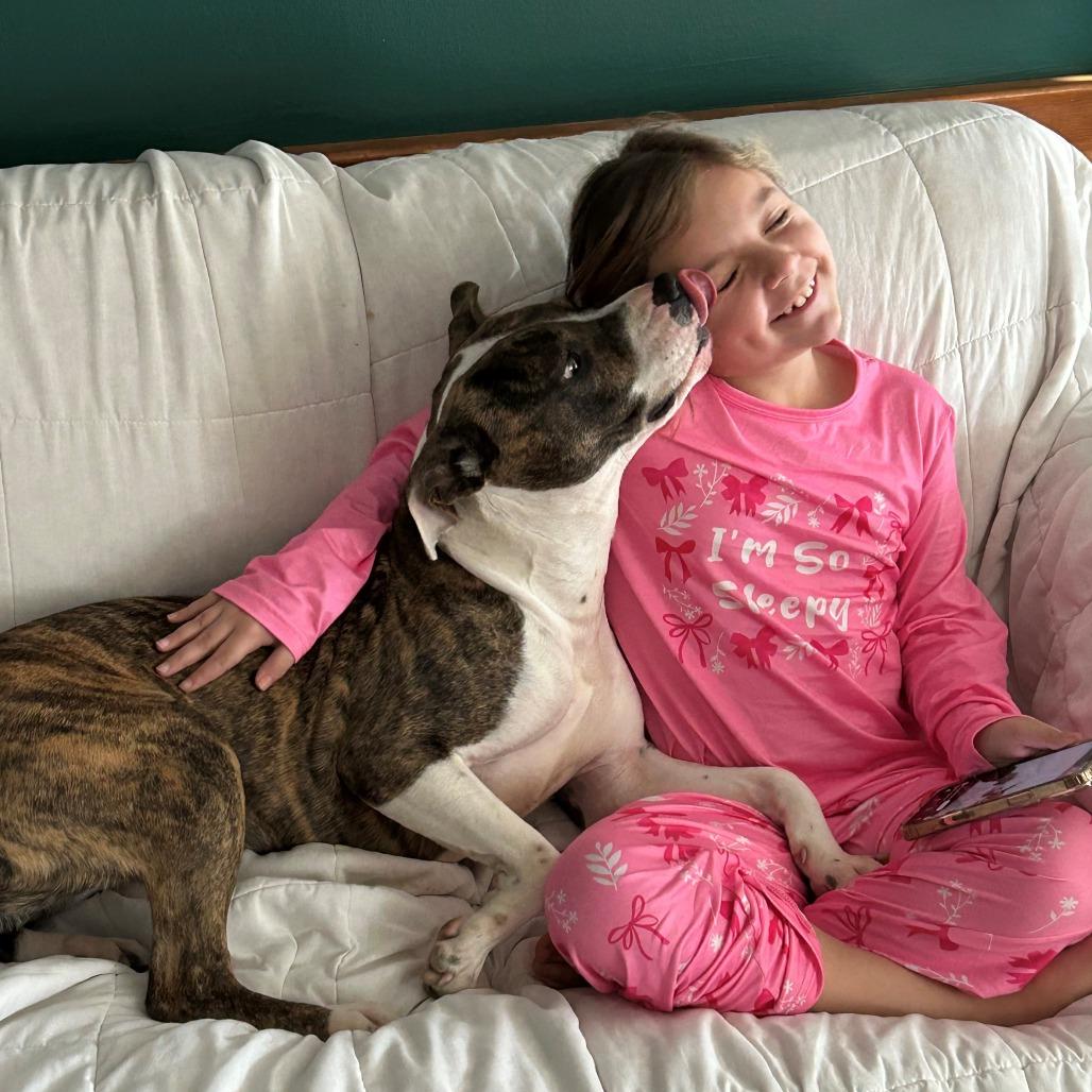 Enlarge BETH-30049, a Adoptable mixed breed in Bartlett, TN image 1/4