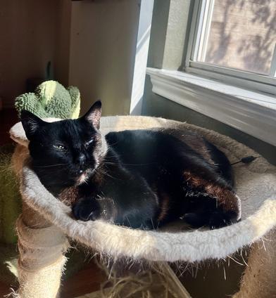 Lucy — thumbnail 5