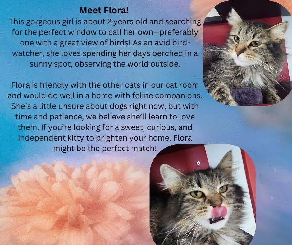 Flora