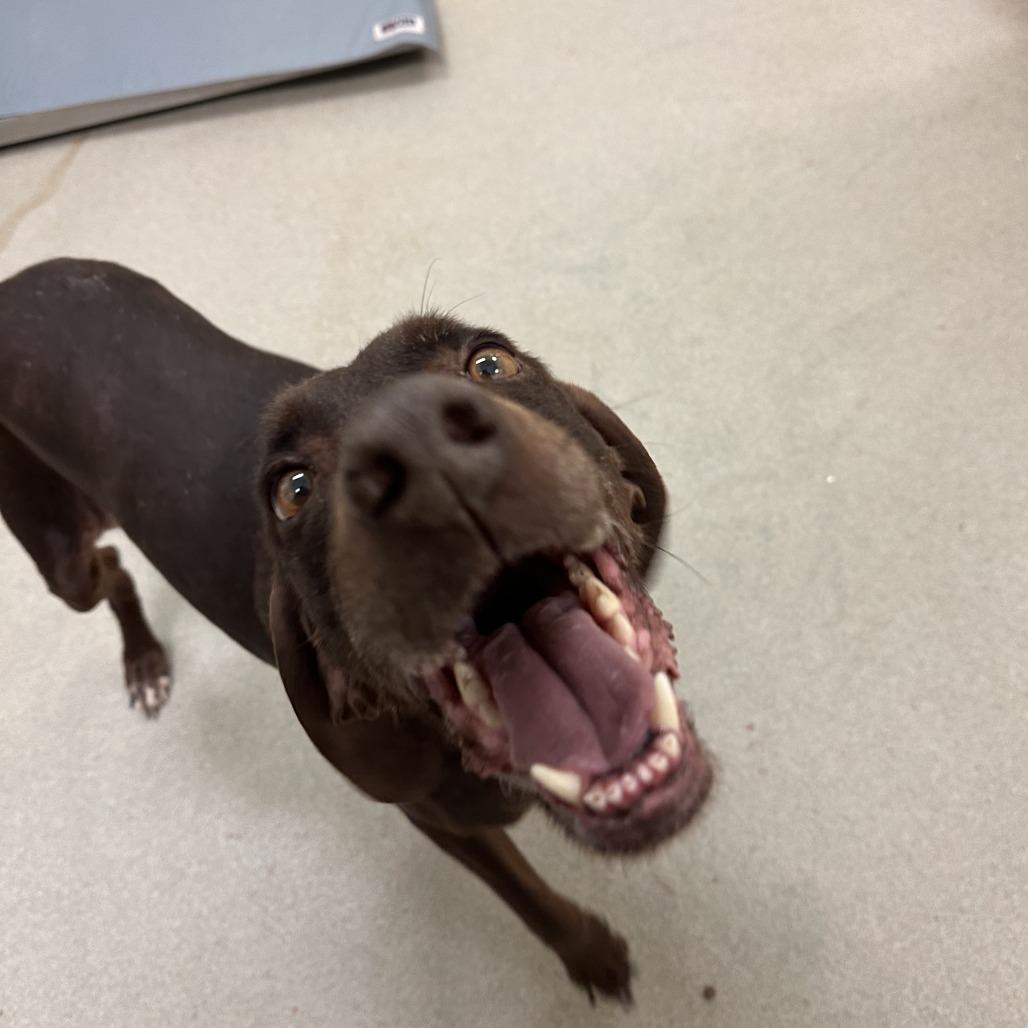 Clementine thumbnail 2