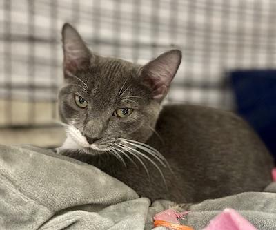 Will — thumbnail 2