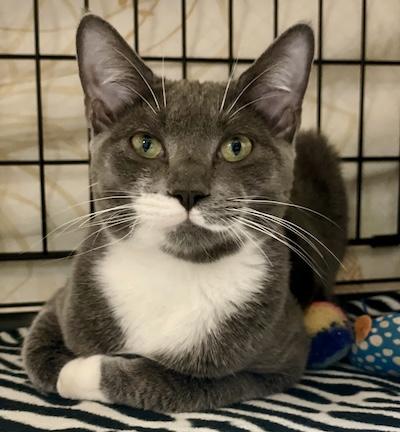 Will — thumbnail 4