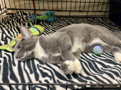 Will — thumbnail 5