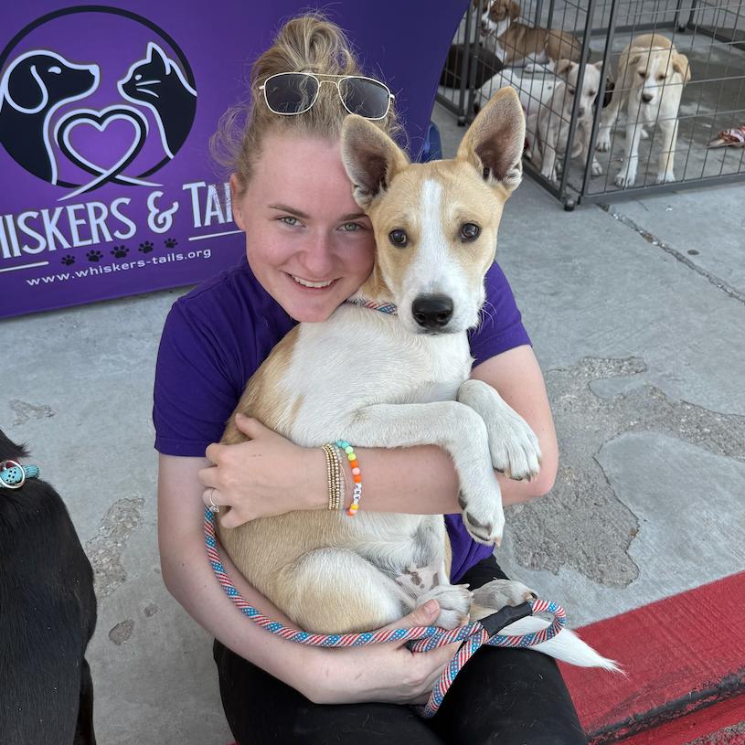 Enlarge Captain, a Adoptable mixed breed in Midland, TX image 6/6