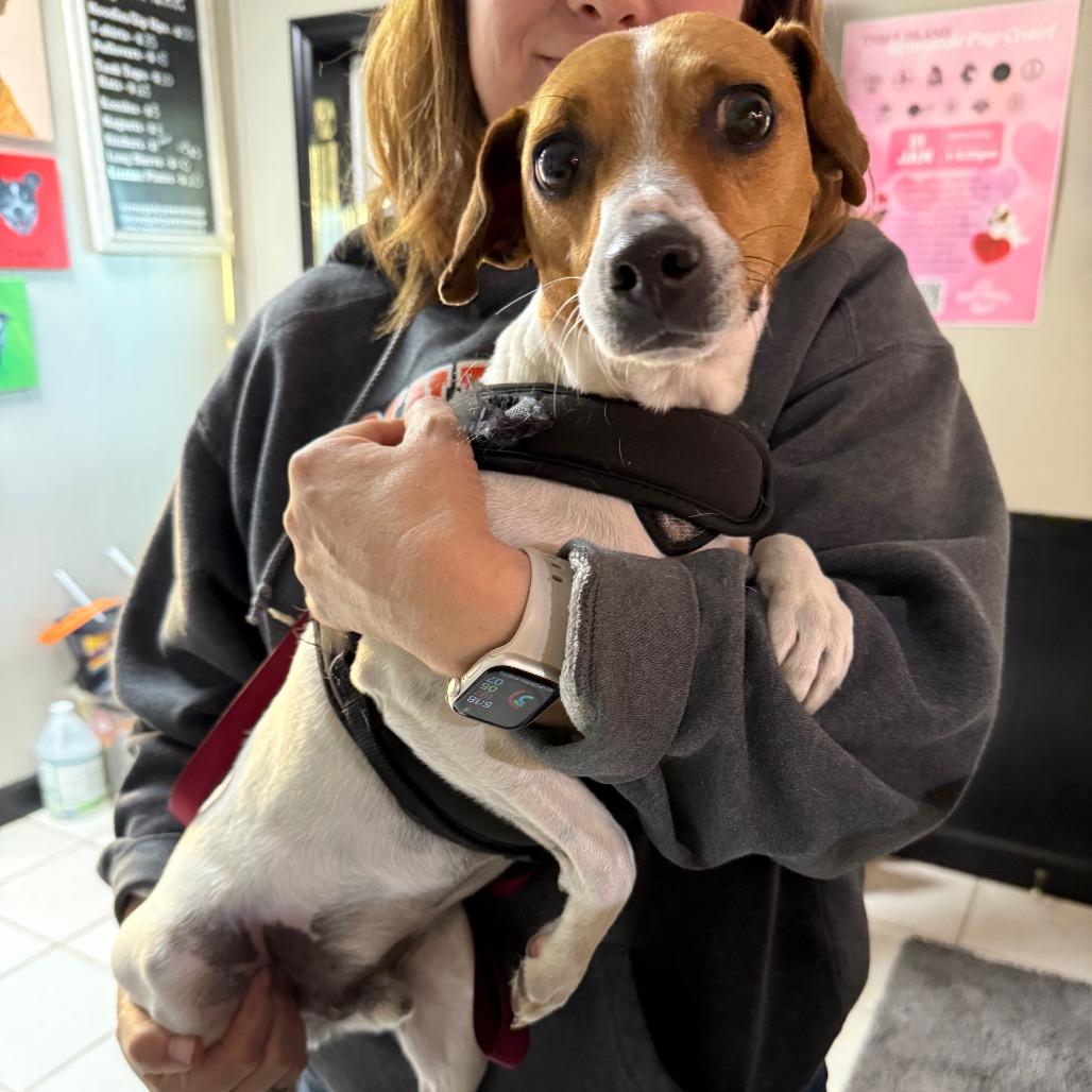 Buzz Lightyear thumbnail 3