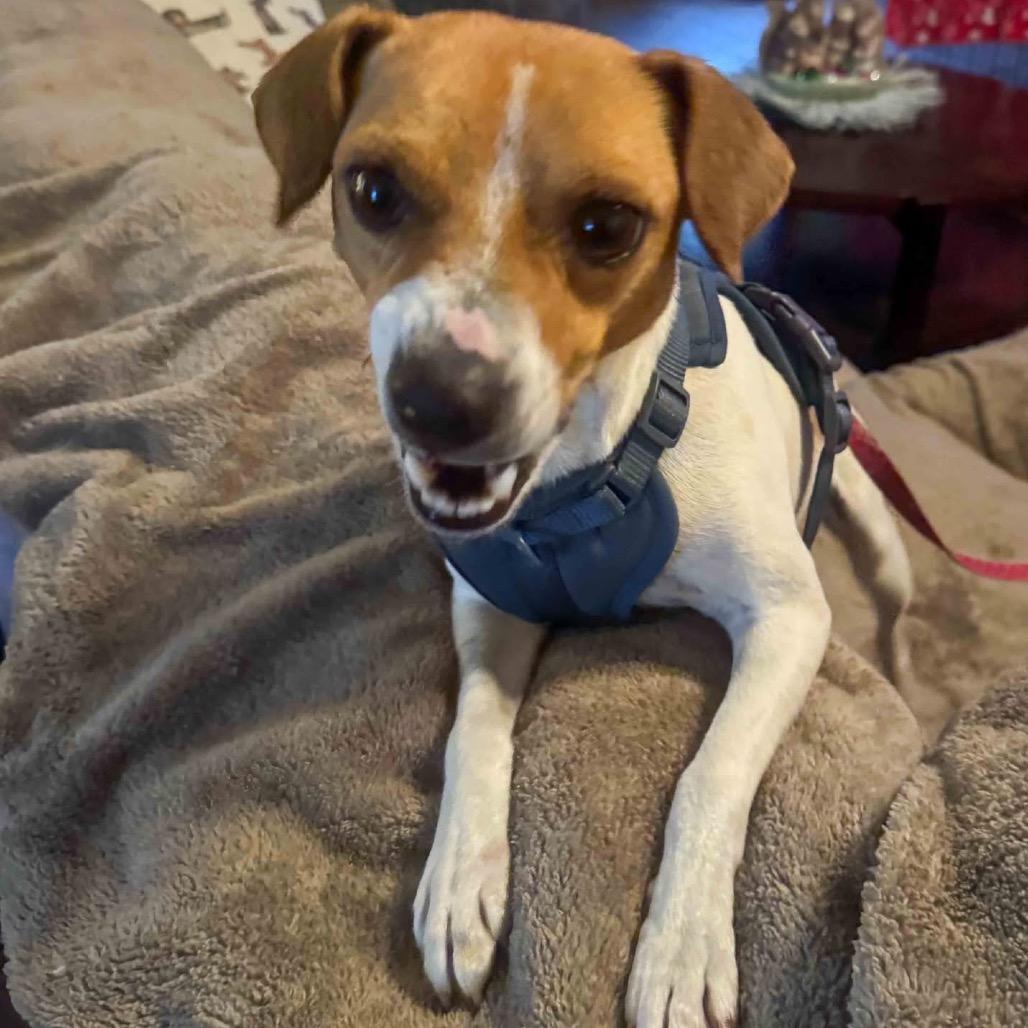 Buzz Lightyear thumbnail 4