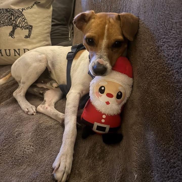 Buzz Lightyear thumbnail 6