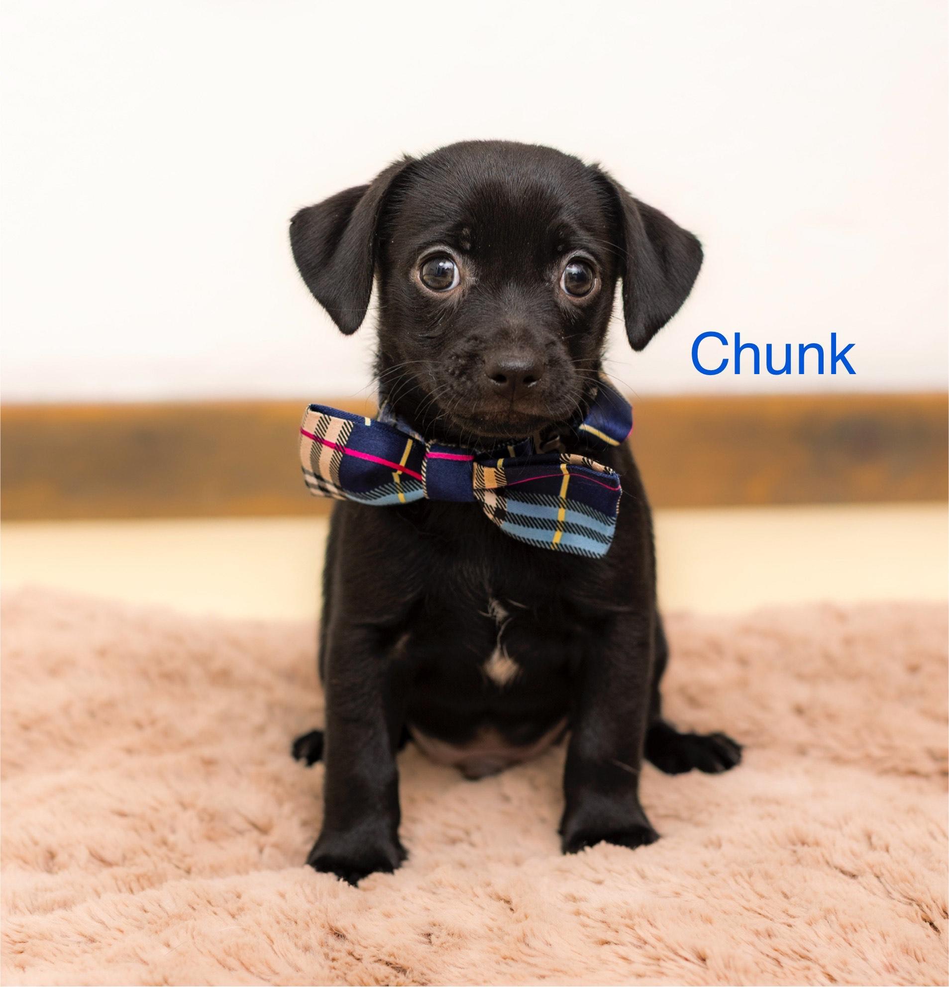 Chunk photo 3