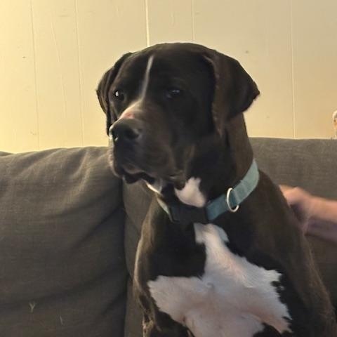 Grace Kelly — thumbnail 4