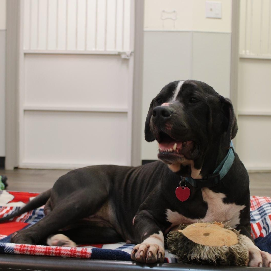 Grace Kelly — thumbnail 5