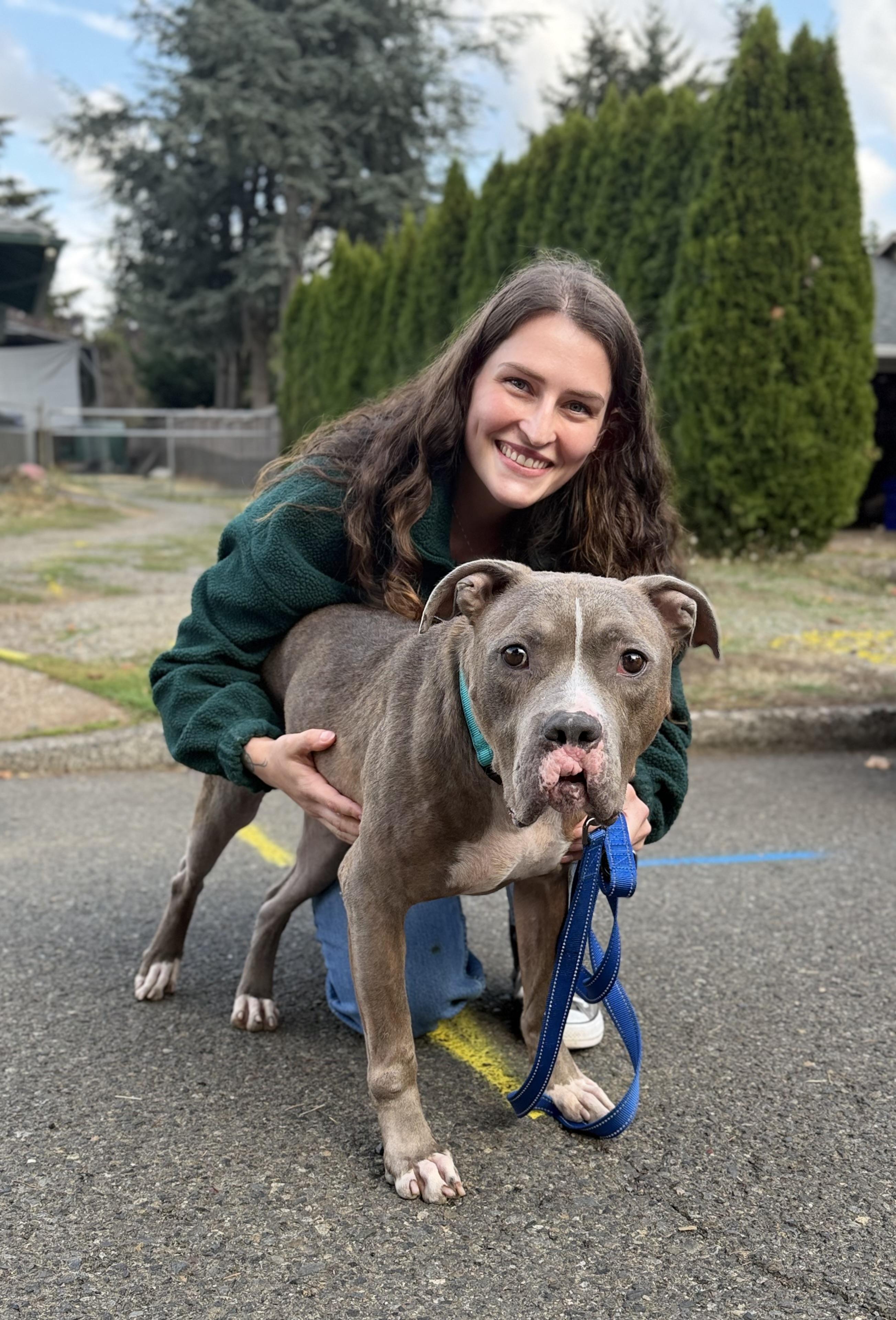 Enlarge Joshua, a Adopted mixed breed in Beavercreek, OR image 2/6