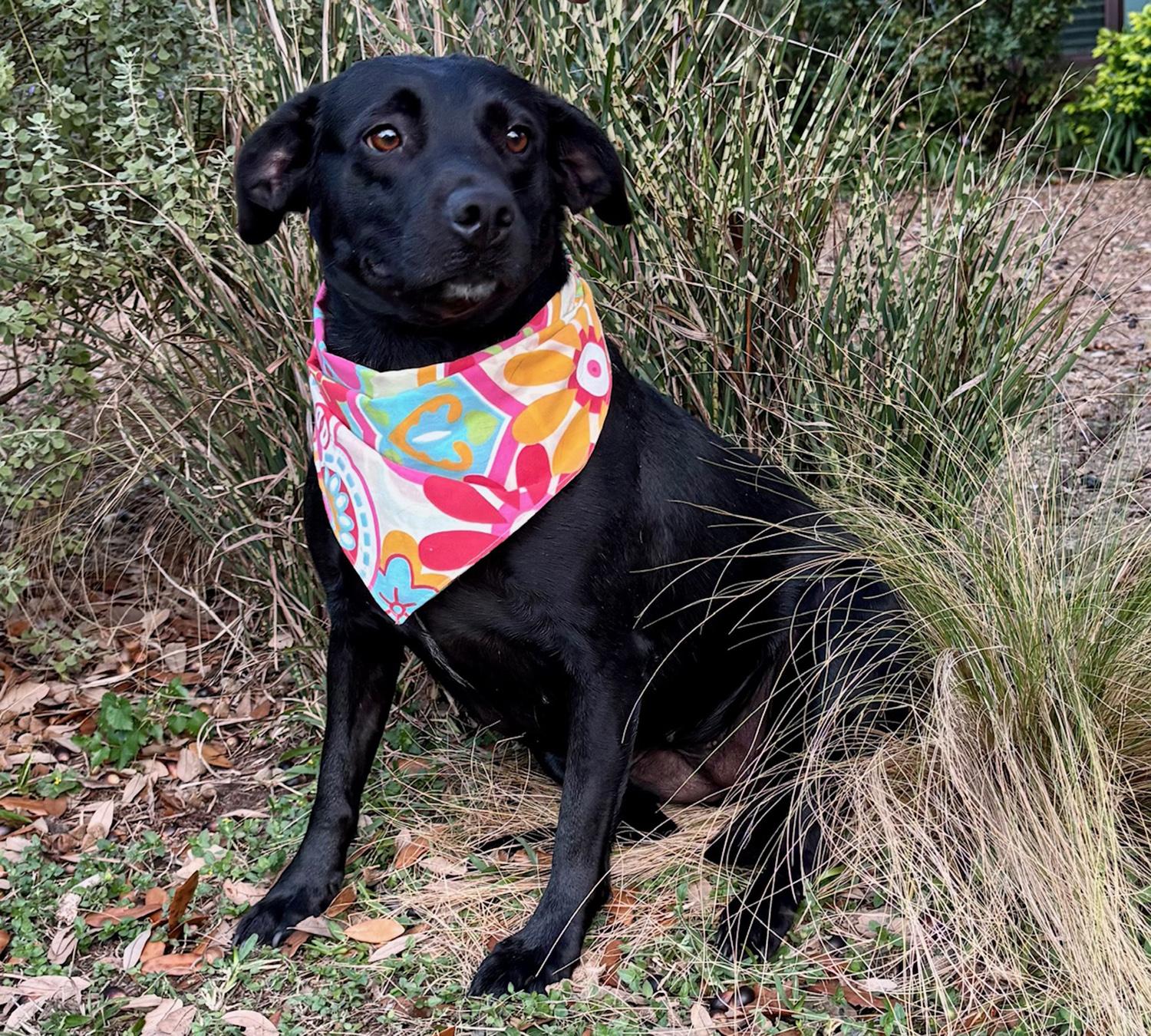 ANNABELLE — thumbnail 4