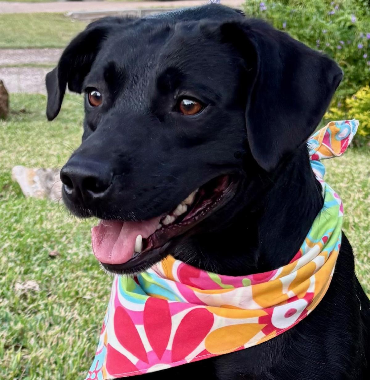 ANNABELLE — thumbnail 5