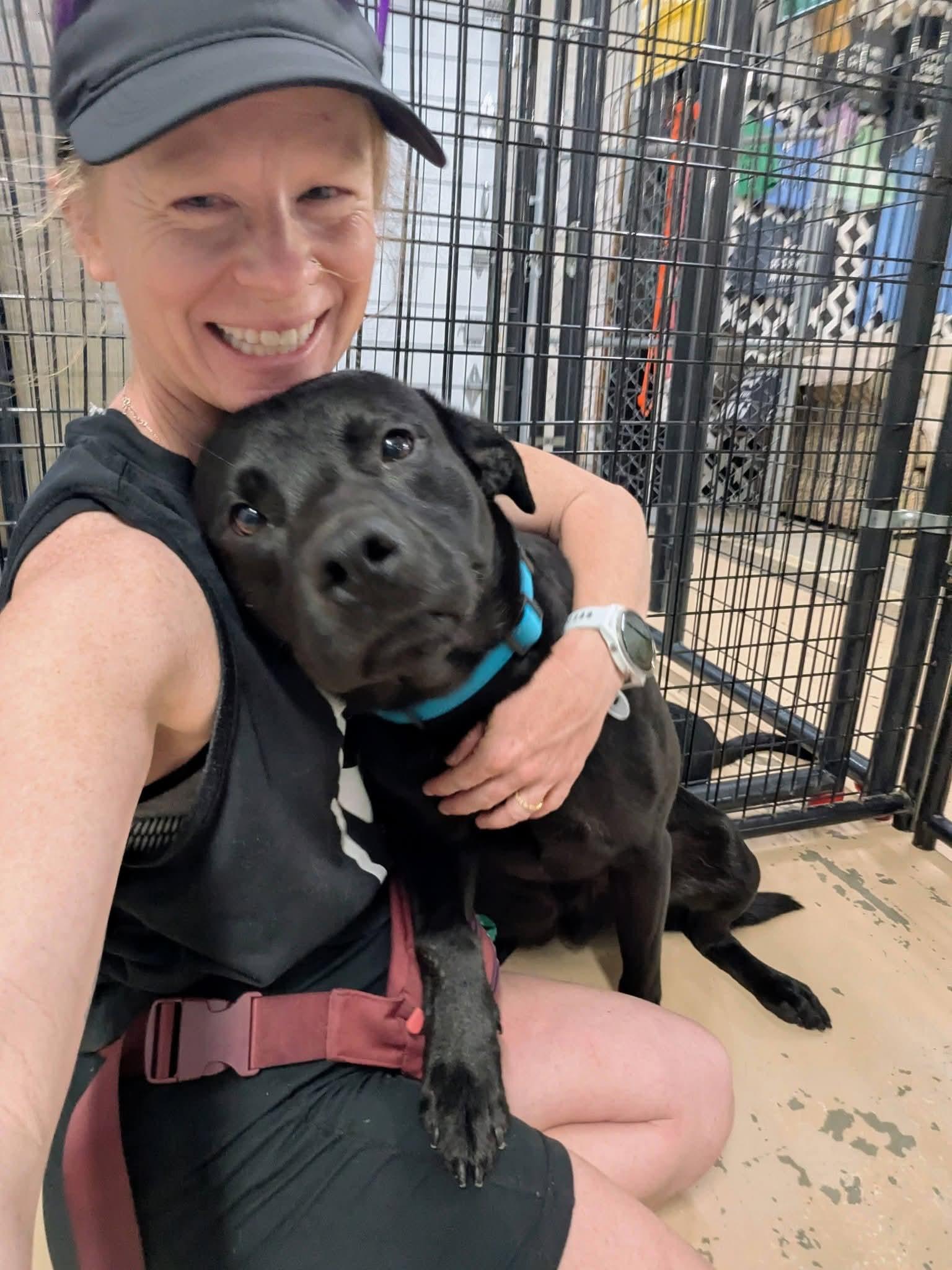 Goober, a Adoptable mixed breed in Cedar Rapids, IA image 5/6