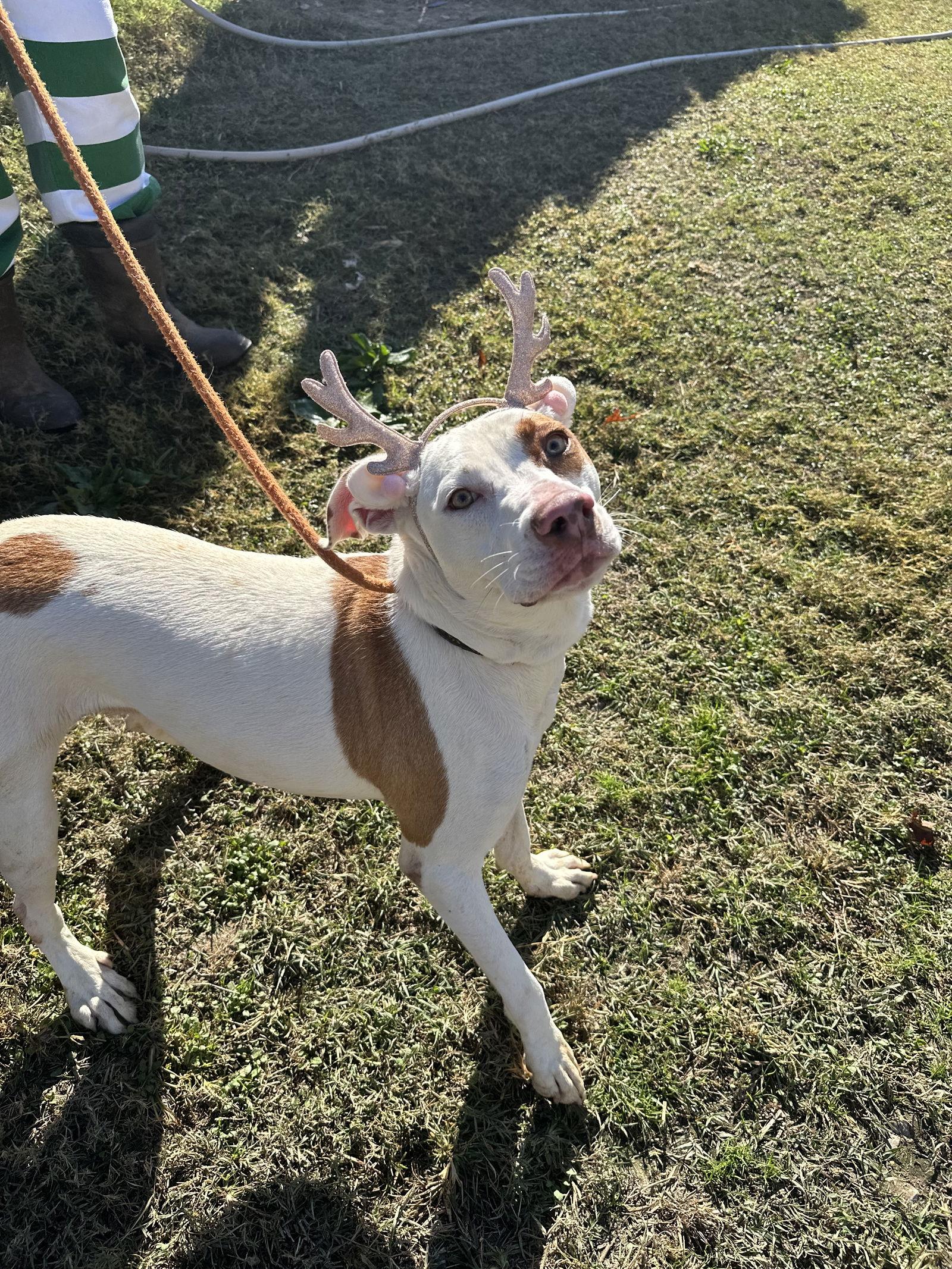 Madison — thumbnail 2