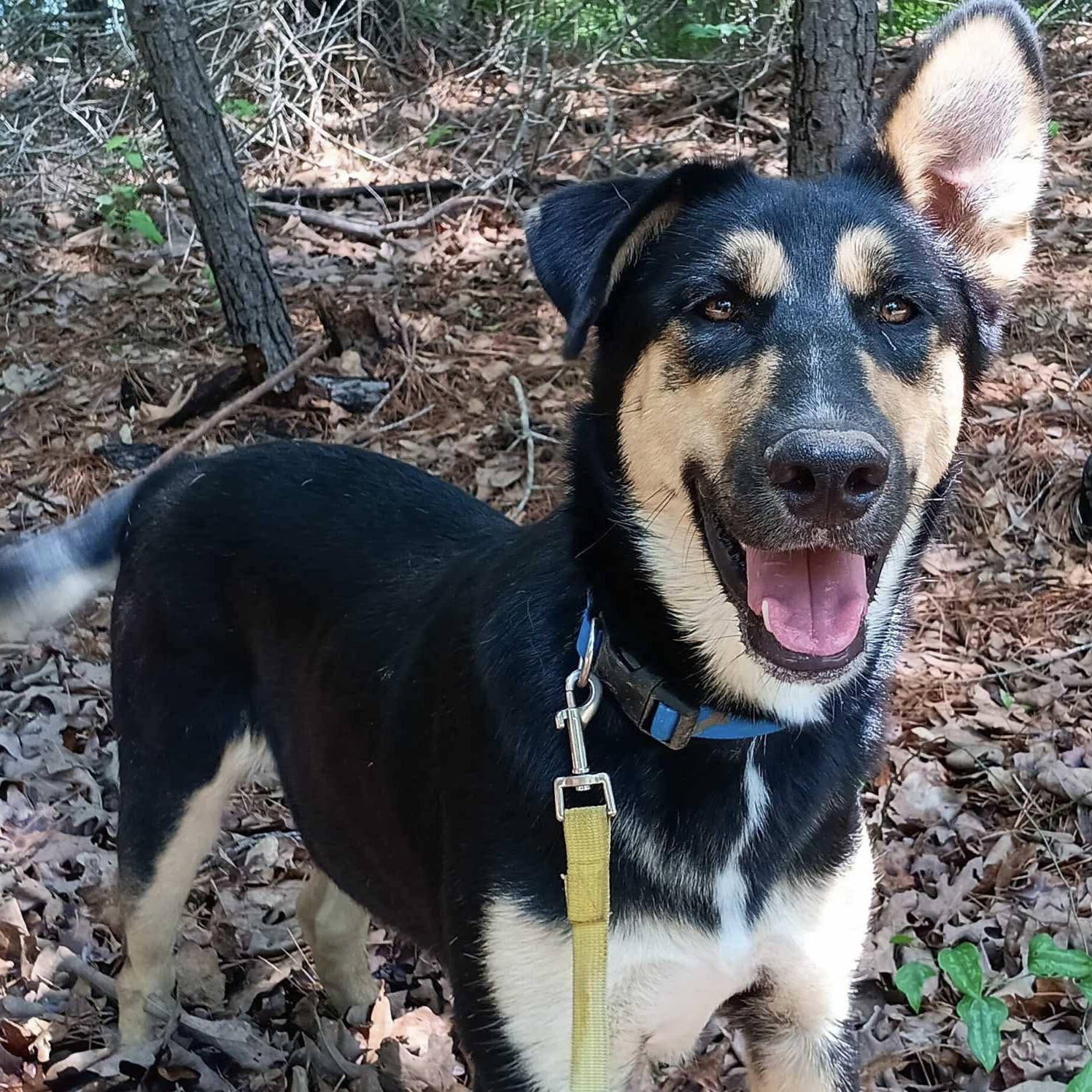 Lightning (20250501-02)