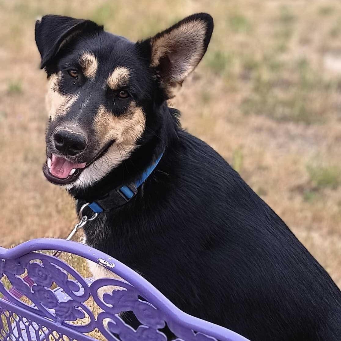 Lightning (20250501-02) — thumbnail 2