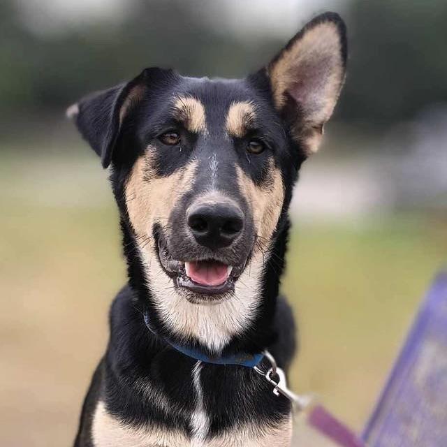 Lightning (20250501-02) — thumbnail 3