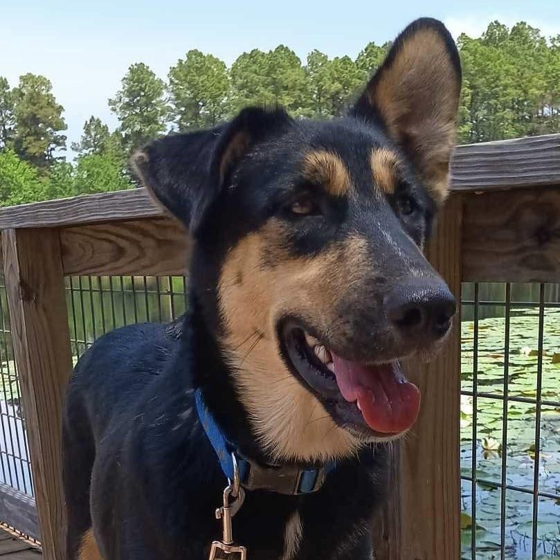 Lightning (20250501-02) — thumbnail 4