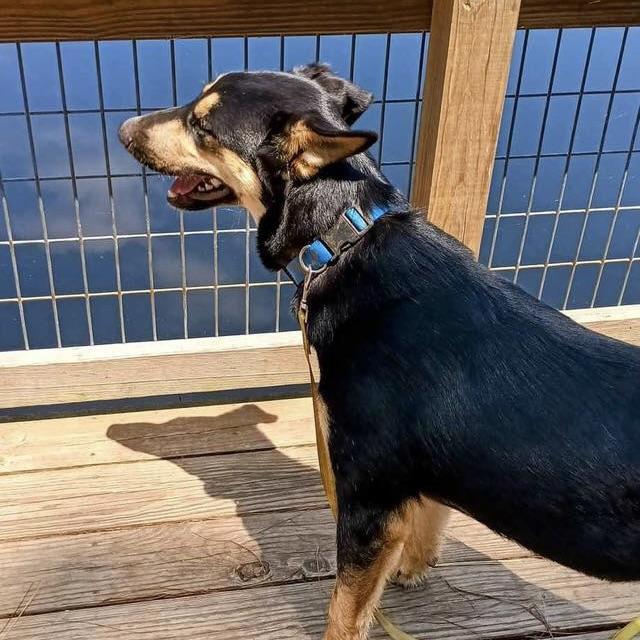 Lightning (20250501-02) — thumbnail 6