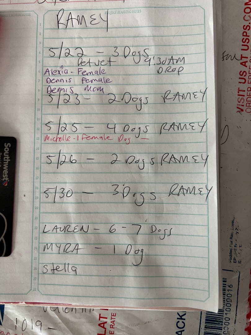 Enlarge Perla, a Adoptable mixed breed in Rincon, PR image 3/14