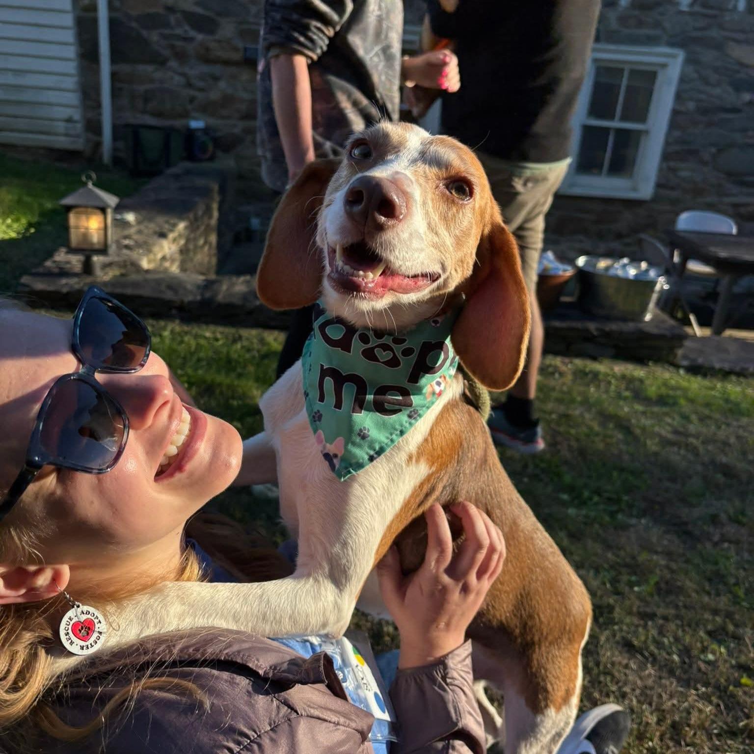 Enlarge Petey, an adoptable mixed breed in Phoenixville, PA image 5/6