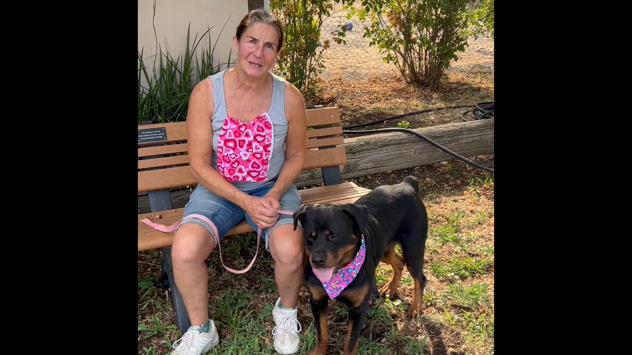 Enlarge Pippin, an adopted mixed breed in Woodland, CA video 1/2
