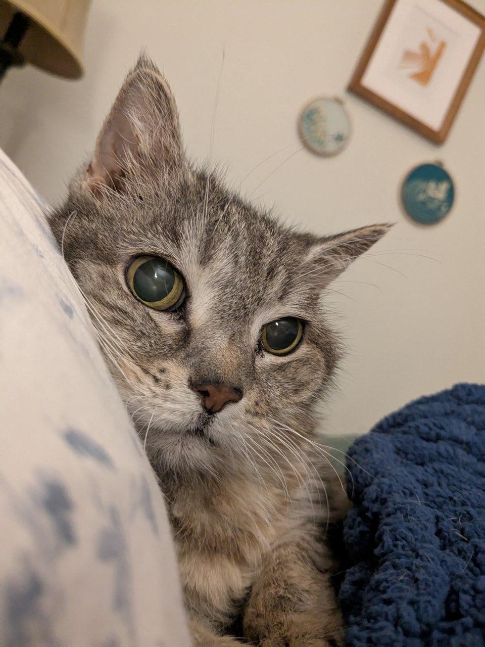 Suki