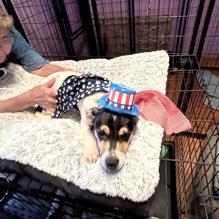 Sweet Pea thumbnail 3