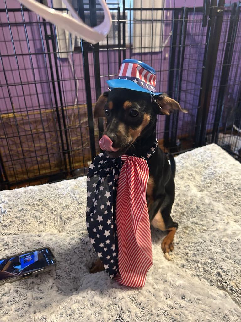 Sweet Pea thumbnail 4